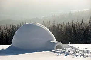 Real snow igloo house in the winter Carpathian mountains. Snow-covered firs on the background