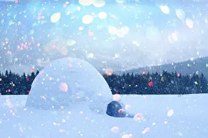 Real snow igloo house in the winter Carpathian mountains. Snow-covered firs on the background. Christmas holiday postcard collage
