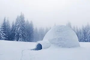 Real snow igloo house in the winter mountains. Snow-covered firs on the background. Foggy forest with snowy spruce