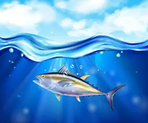 Canned Prints: Realistic and colored tuna sea composition fish swimming in the ocean underwater vector illustration