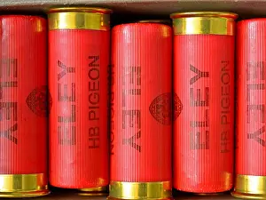 Side By Side Prints: Red 12 bore shotgun cartridges