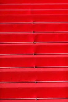 Alpes Maritimes Prints: Red carpet on stairs in Cannes Film Festival. Cannes. France