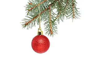 Bauble Prints: A red Christmas bauble hanging from a branch of a Christmas tree isolated against white