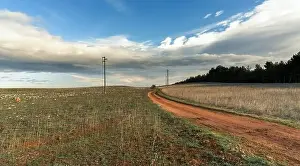 Red Dirt Prints: A red dirt road leading through the barren limestone fields of the Alta murgia Naitonal Park in southern Italy