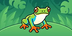 Wildlife Conservation Prints: Red-Eyed Tree Frog, cute cartoon illustration of Central American rainforest frog in the wild