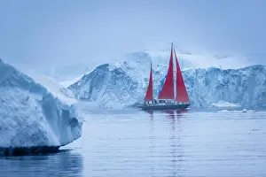 Sails Prints: Red sails along Ilulissat Ice Fjord north of the Arctic Circle, Disko Bay, Greenland