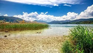 Bavarian Alps Prints: Reeds on the shore of Tegernsee on a sunny spring morning with autumn leaves and trees