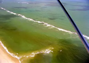 Rio Grande Prints: Reefs in North East coast of Brazil