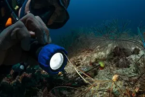 Batu Mandi Prints: Reefscape - Bangka Island
