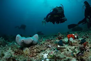 Marine Nature Prints: Reefscape - Bangka Island