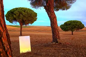 Reflection on a mirror in a cereal crop field in the Villafafila natural park. zamora. Spain