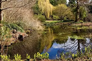 Reflections on a mall pond called Loch Machar at the Dundee Botanic Gardens, UK