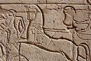 Obelisk Prints: Relief work showing chariot and horses in military campaigns of Ramesses II at the Ramesseum