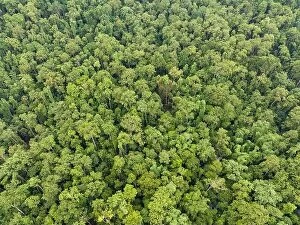 Images Dated 18th April 2023: Remote islands in West Papua, Indonesia, are covered by thick, green rainforest