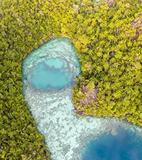 Remote limestone islands in Raja Ampat, Indonesia, are surrounded by healthy coral reefs. This biodiverse region is known for its marine biodiversity