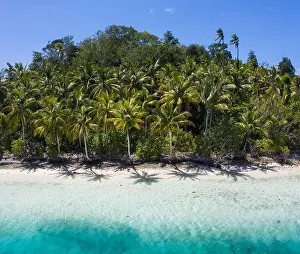 Equator Prints: A remote, white sand beach, shaded by coconut palm trees