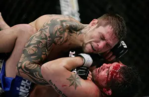 Mixed Martial Arts Prints: Renato Babalu Sobral, top