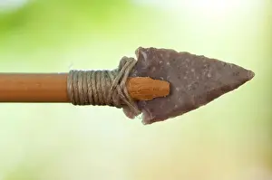 Lombard Prints: Replica Prehistoric Wood Arrows with Stone Points Used For Hunting
