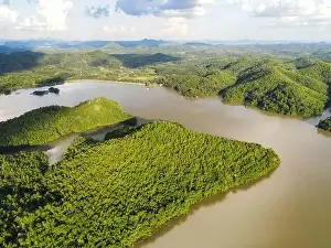 Reservoir, Aerial view river forest nature woodland area green tree