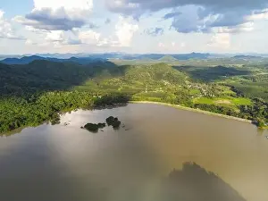 Monroe Prints: Reservoir, Aerial view river forest nature woodland area green tree