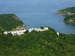 Harbor View Prints: Residential on green hill beachfront aerial drone view
