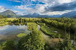 Wetlands Prints: Rewilded Lech river wetlands near Pflach, Austria