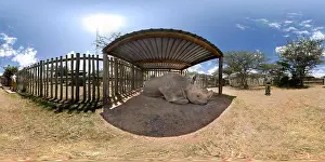 360cities Prints: Rhino Sanctuary, Ol Pejeta Conservancy, Kenya