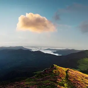 Rhododendron flowers covered mountains meadow in summer time. Orange sunrise light glowing on a foreground. Landscape photography