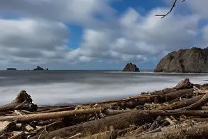 Driftwood Prints: Rialto Beach, Olympic National Park, WA, USA