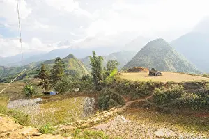 Sapa Prints: Rice fields on paddy mountain of Cat Cat Village sapa, Vietnam