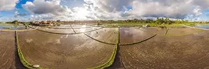 Rice Field Prints: Rice Terrace Aerial Shot. Image of beautiful terrace rice field