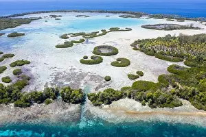 Halmahera Prints: Rings of mangrove trees grow inside a remote island lagoon in the Halmahera Sea