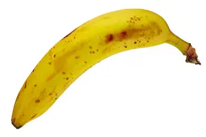 Focus Stacking Prints: Ripe banana fruit isolated on white background, DFF image, Adobe RGB