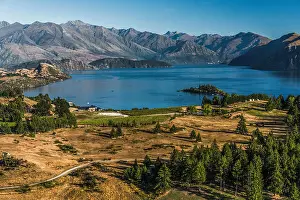 Scenic Beauty Prints: Rippon vineayrds on Lake Wanaka, Otago, New Zealand