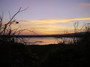 Riverbed Prints: The River Adur at low tide viewed through a hedgerow at twilight, towards Lancing