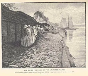 Industries Prints: The River Fisheries of the Atlantic States refers to the important fishery industries along the Atlantic coast