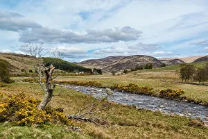 The River Isla Flowing Through Glen Isla from Tulchan Lodge & Auchavan, Angus, Scotland