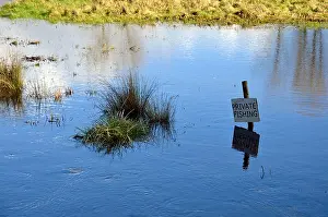 Flooding Prints: River Itchen in flood and flowing onto the flood plain at St Cross