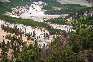 Yellowstone Prints: A river winds through a canyon surrounded by lush forest