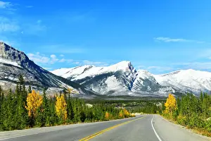 Autumn Leaves Prints: The road 93 beautiful Icefield Parkway in Autumn Jasper National park, Canada