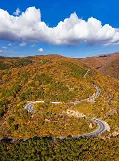 Fall Mountain Prints: Road in forest at autumn season