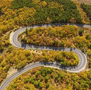 Fall Mountain Prints: Road in forest at autumn season