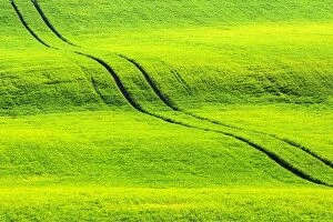 Landscape Collection: Road in green wheat agricultural field of South Moravia, Czech Republic