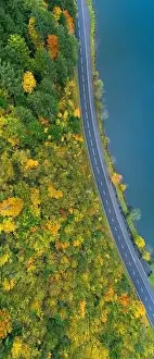 Alpine Arena Prints: The road along the lake. Forest. Aerial view. Vertical panorama