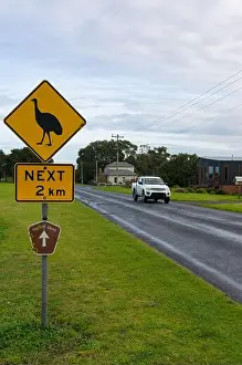 Ostrich Prints: Road sign with emu ahead warning and car on the road. Australian wildlife protection