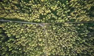 Road turn in forest in sunset light background aerial drone view