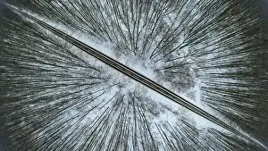 Road through winter forest