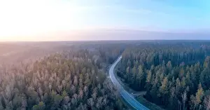 Lietuva Prints: Road in the Woods, Aerial View