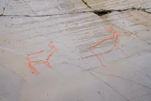 Rock Paintings Prints: The Rock Art of Alta in Norway