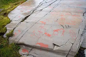 Rock Paintings Prints: The Rock Art of Alta in Norway